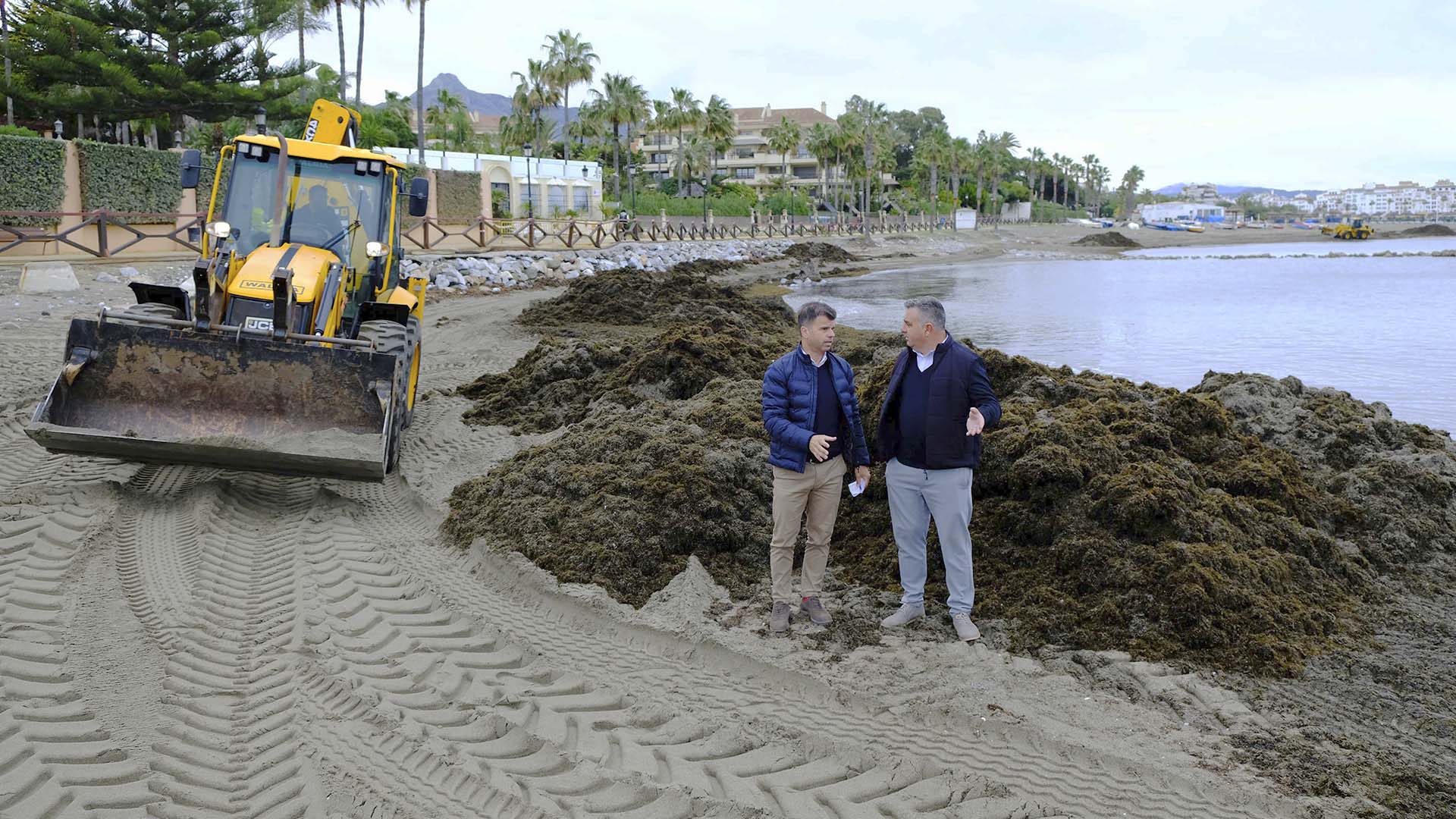 El Ayuntamiento continua con la retirada de algas invasoras en las playas